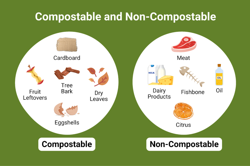 Compostable vs Noncompostable