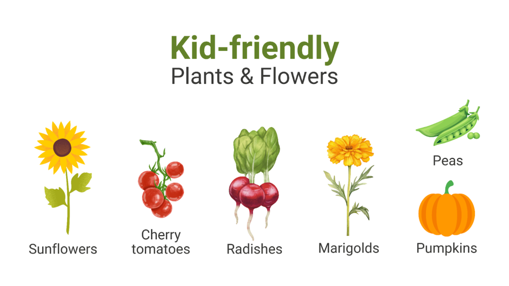 Kid Friendly Plants