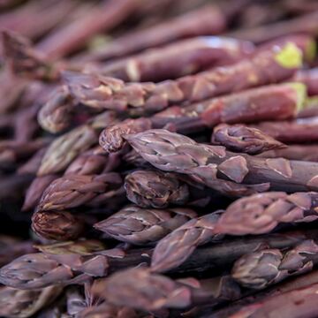 Purple Passion Asparagus