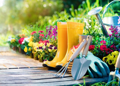 Landscape Terms for Beginner Gardeners or DIY