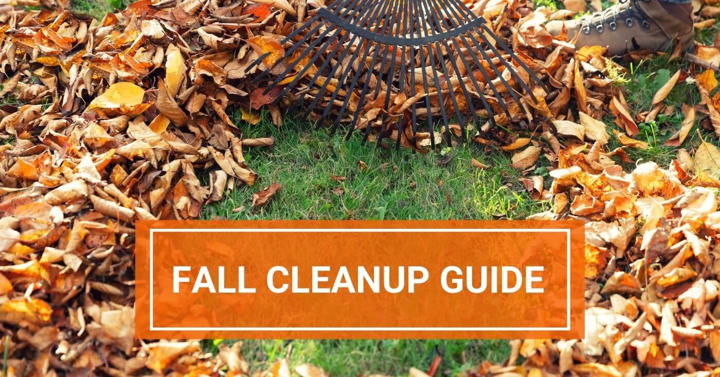 The Ultimate Fall Garden Cleanup Guide