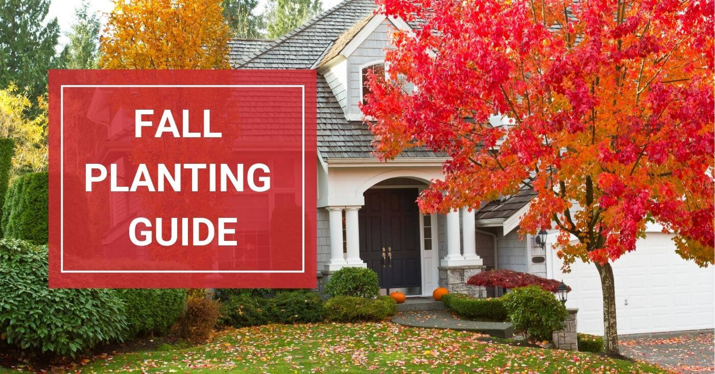 Fall Planting Guide